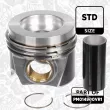 Kit de pistons ET ENGINETEAM PM014900VR1 - Visuel 2