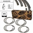 Jeu de segments de pistons ET ENGINETEAM R1002000VR1 - Visuel 1