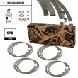 Jeu de segments de pistons ET ENGINETEAM R1002200VR1 - Visuel 1