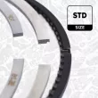 Jeu de segments de pistons ET ENGINETEAM R1009600 - Visuel 1