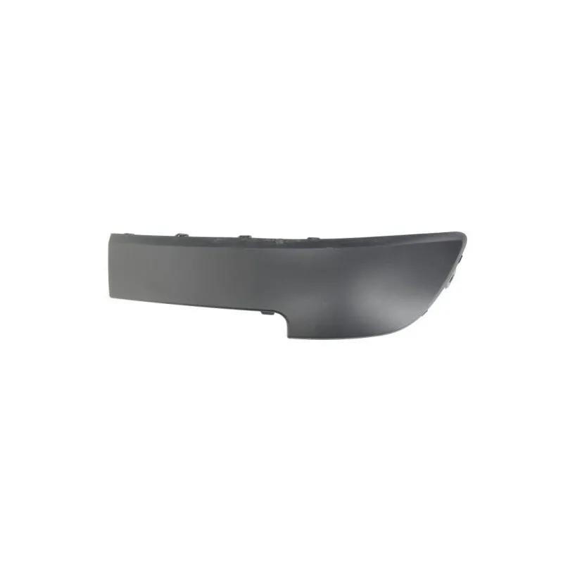 Baguette et bande protectrice, pare-chocs avant gauche BLIC 5510-00-6042921Q