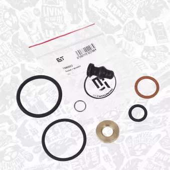 Kit de joints, injecteur ET ENGINETEAM