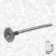Soupape d'émission ET ENGINETEAM VE0006 - Visuel 2