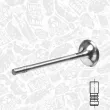 Soupape d'émission ET ENGINETEAM VE0120 - Visuel 1
