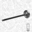 Soupape d'émission ET ENGINETEAM VE0171 - Visuel 1