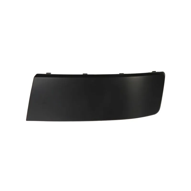 Baguette et bande protectrice, pare-chocs avant gauche BLIC 5510-00-9568925PP
