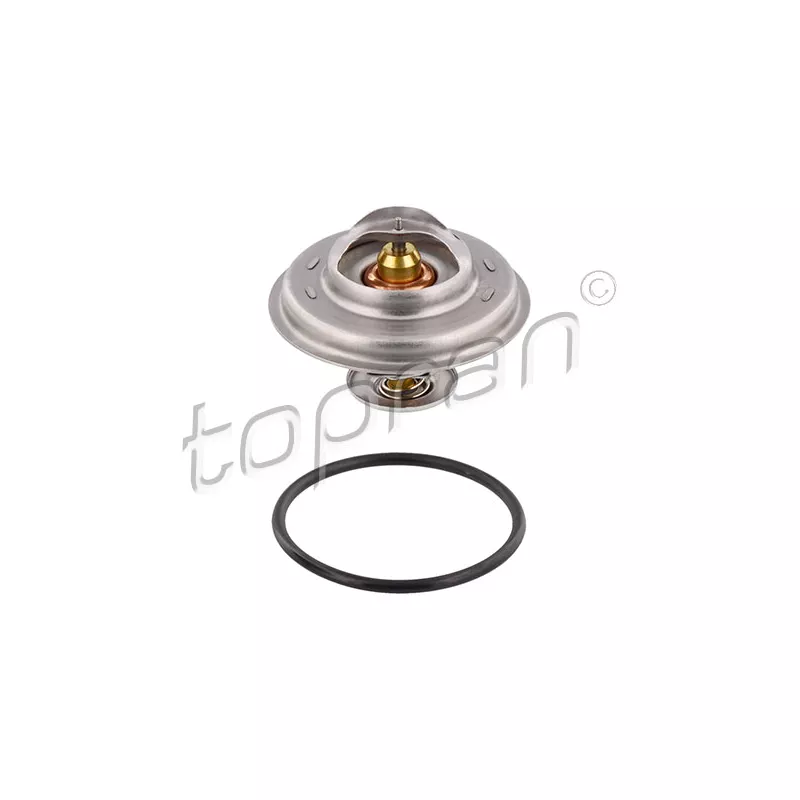 Thermostat d'eau TOPRAN 100 159