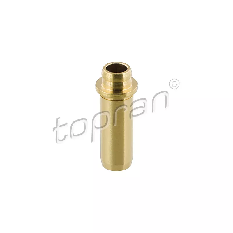 Guide de soupape TOPRAN 100 541