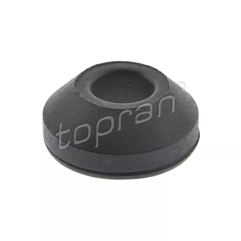 Joint d'étanchéité, boulon de couvercle de culasse TOPRAN 100 545