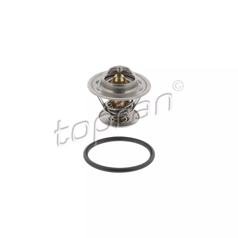 Thermostat d'eau TOPRAN 100 573