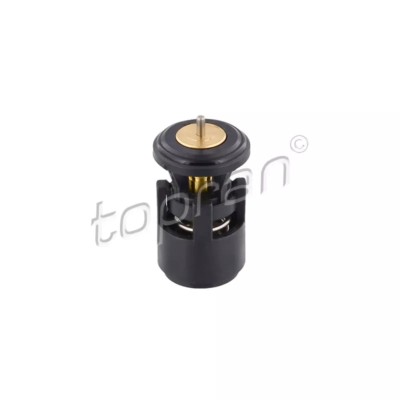 Thermostat d'eau TOPRAN 100 616