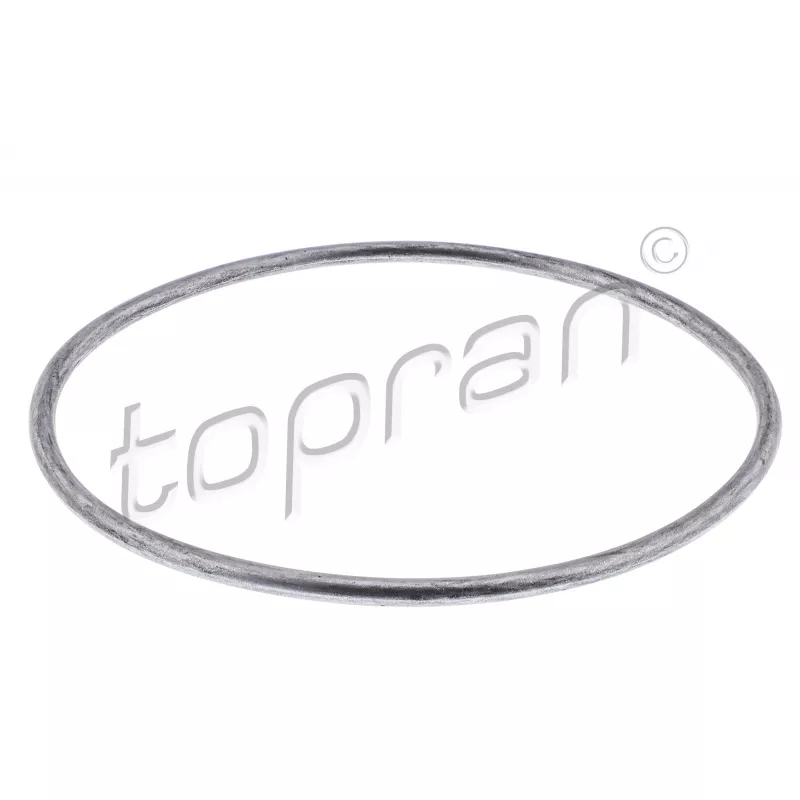 Joint d'étanchéité, pompe à eau TOPRAN 100 674