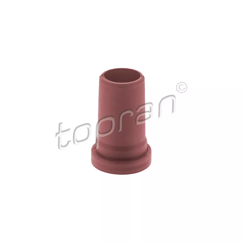 Support, injecteur TOPRAN 100 676