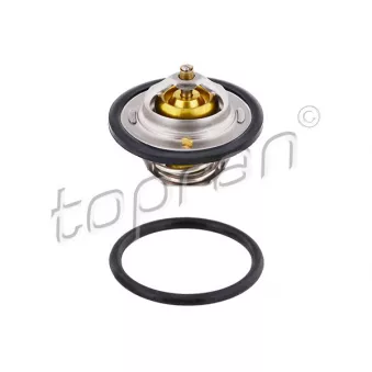Thermostat d'eau TOPRAN 100 700