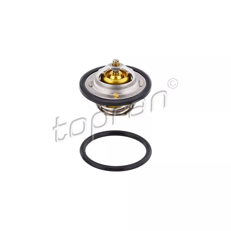 Thermostat d'eau TOPRAN 100 700