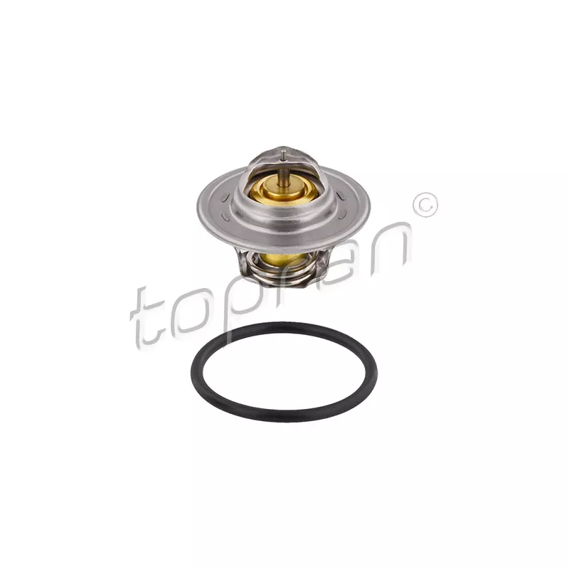 Thermostat d'eau TOPRAN 100 957