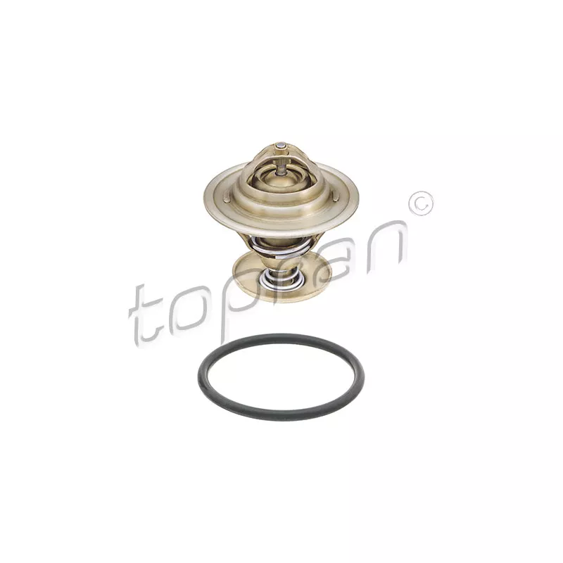 Thermostat d'eau TOPRAN 101 092