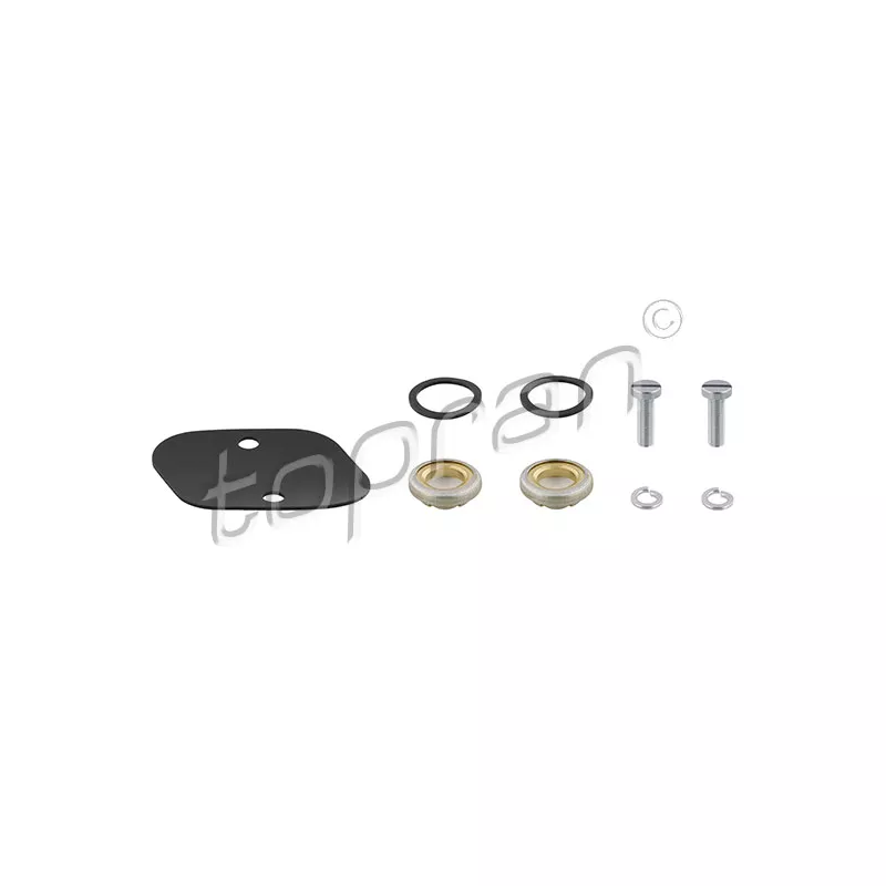Diaphragme, pompe à vide TOPRAN 101 493