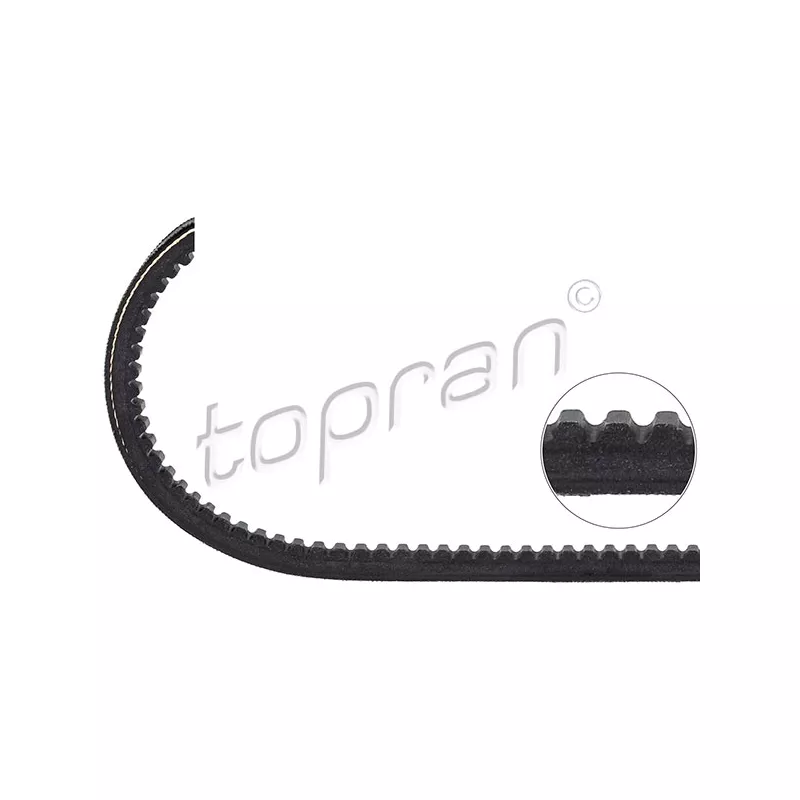 Courroie trapézoïdale TOPRAN 101 504