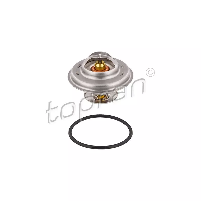 Thermostat d'eau TOPRAN 101 522
