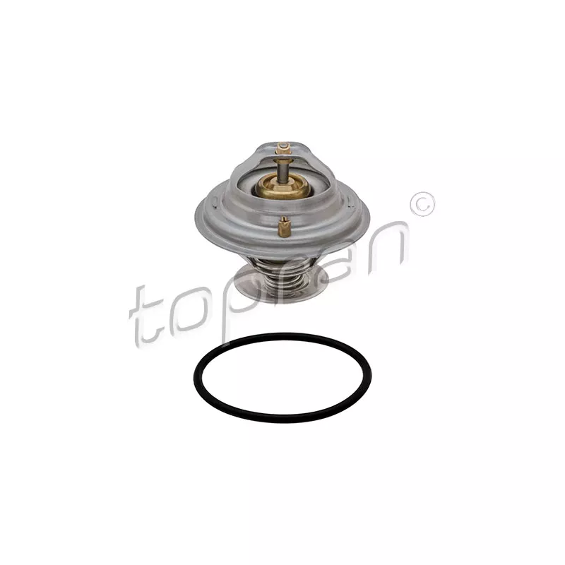 Thermostat d'eau TOPRAN 101 583
