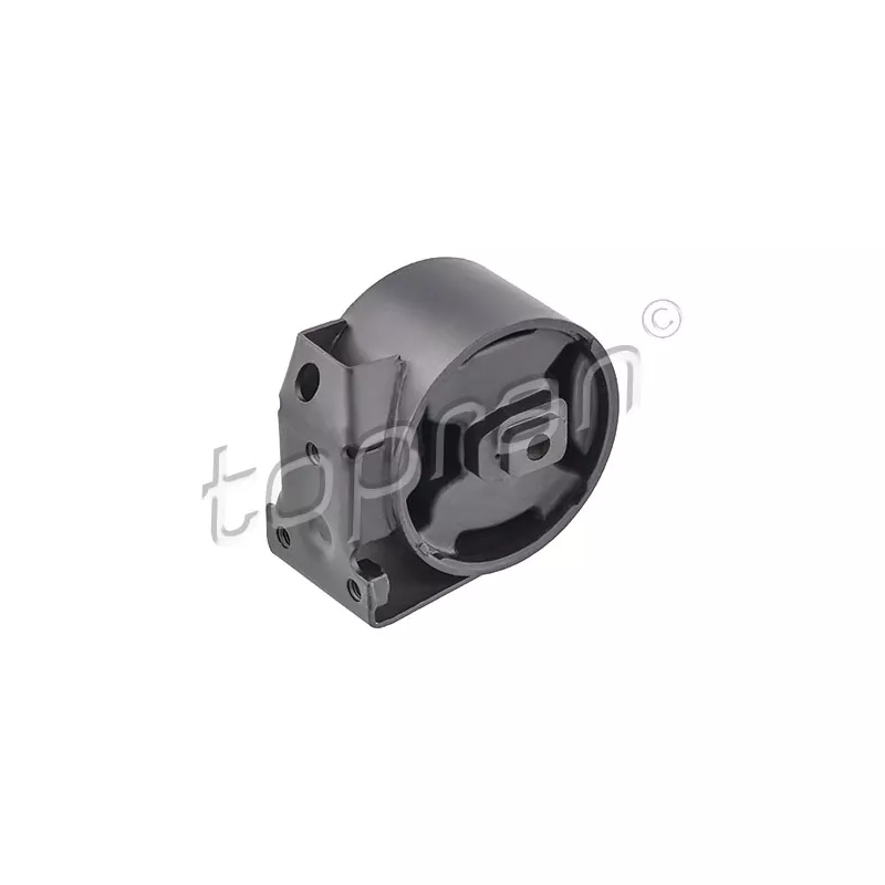 Support moteur arrière droit TOPRAN 102 738