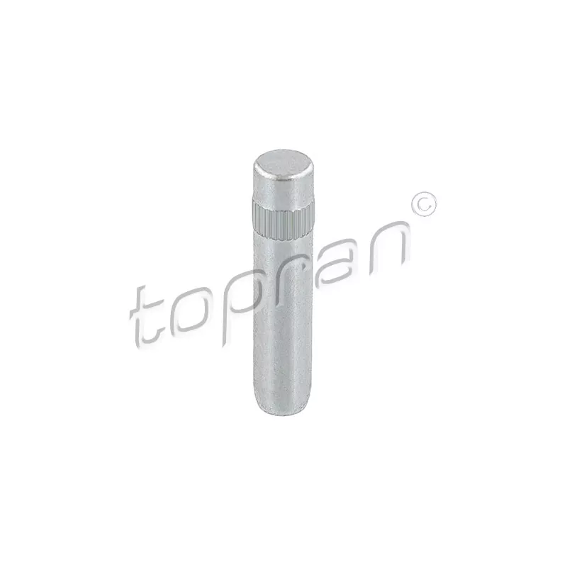 Charnière de porte TOPRAN 103 416