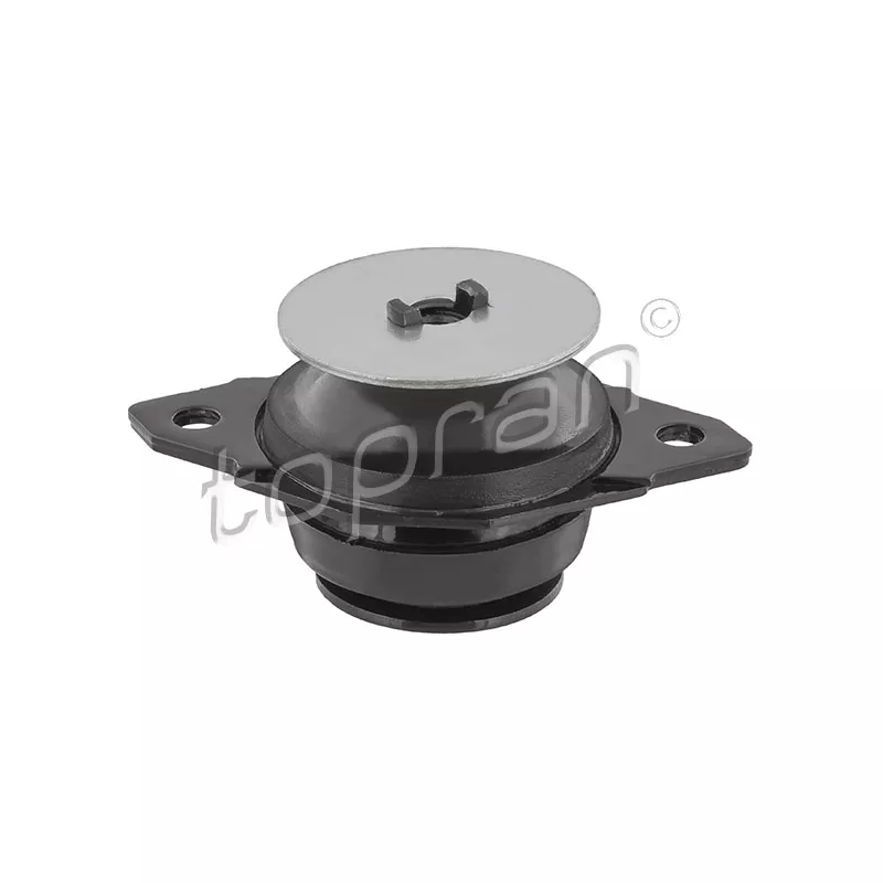 Support moteur arrière gauche TOPRAN 103 457