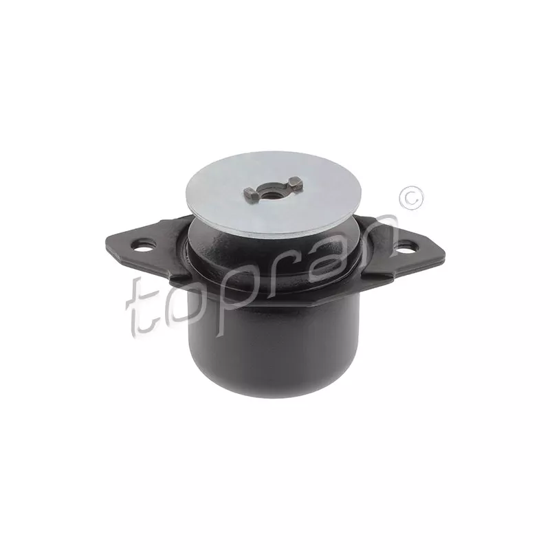 Support moteur arrière gauche TOPRAN 103 582