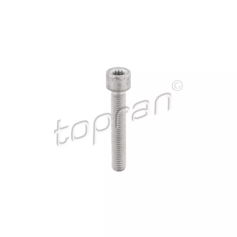 Boulon, flasque d'arbre de cardan TOPRAN 104 306