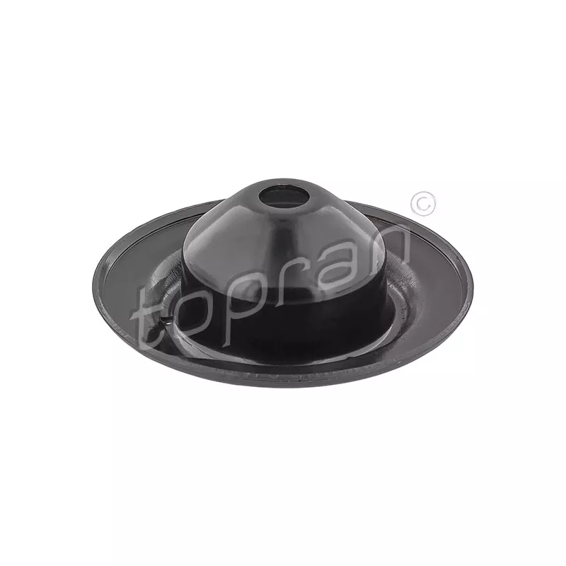 Patin de ressort TOPRAN 107 136