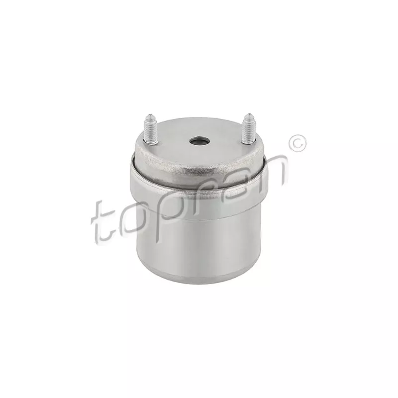 Support moteur TOPRAN 107 976