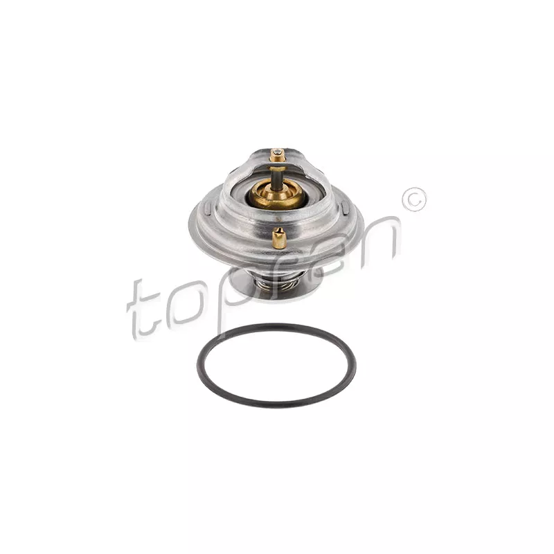 Thermostat d'eau TOPRAN 108 138