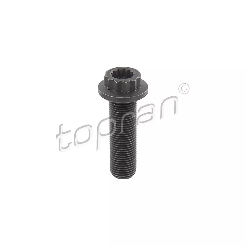 Boulon de poulie TOPRAN 109 329