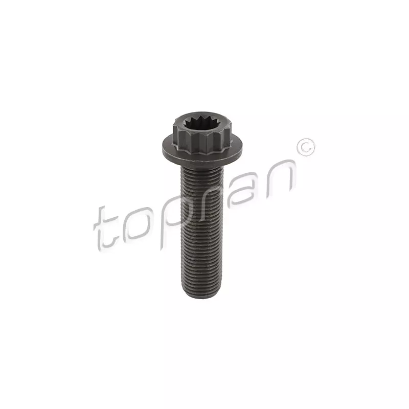 Boulon de poulie TOPRAN 109 330