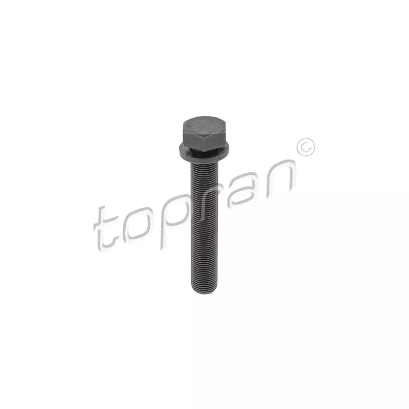 Boulon de poulie TOPRAN 109 336