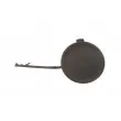 Recouvrement de pare-chocs, dispositif d'attelage avant gauche BLIC 5513-00-0029920Q - Visuel 1