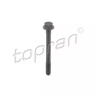 Vis TOPRAN 109 779