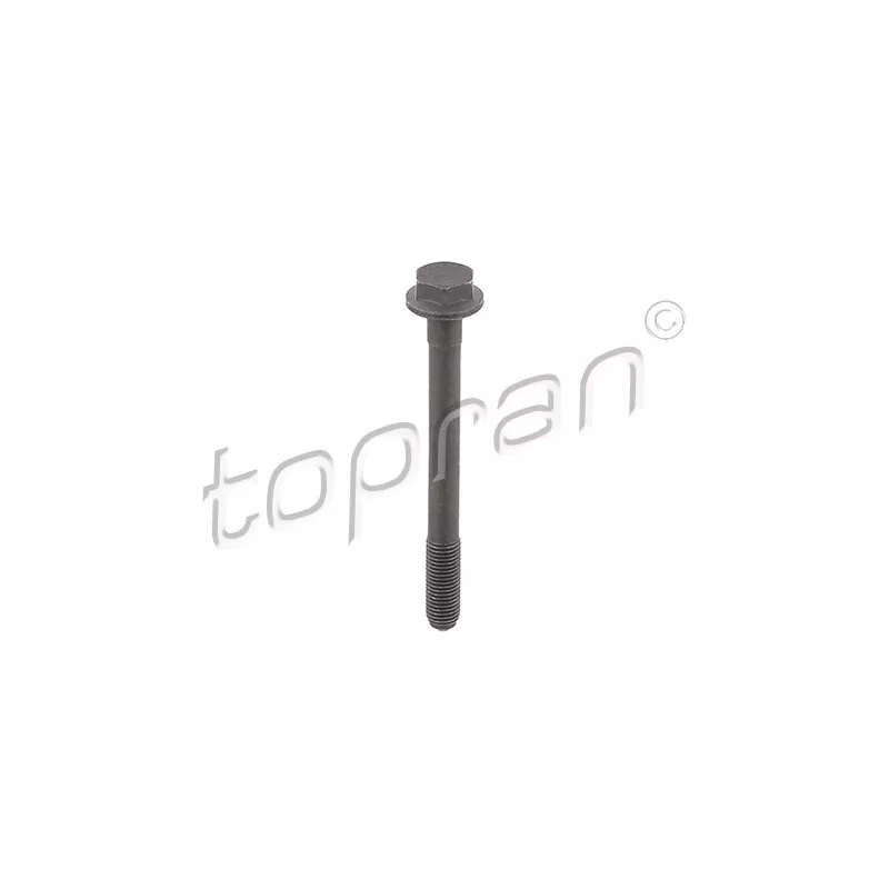 Vis TOPRAN 109 779