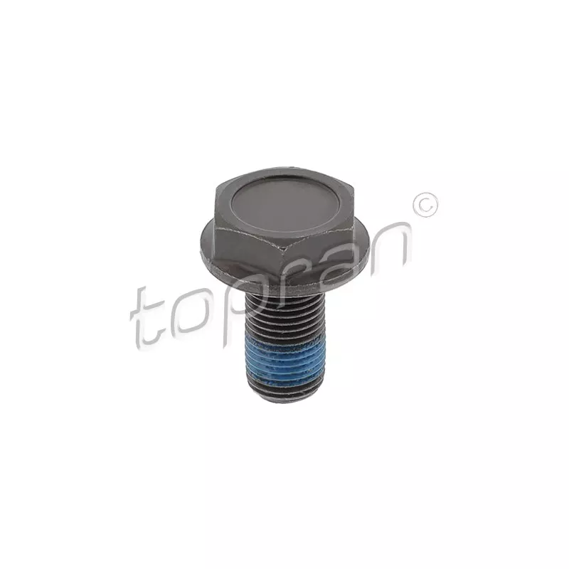 Boulon de volant moteur TOPRAN 110 260