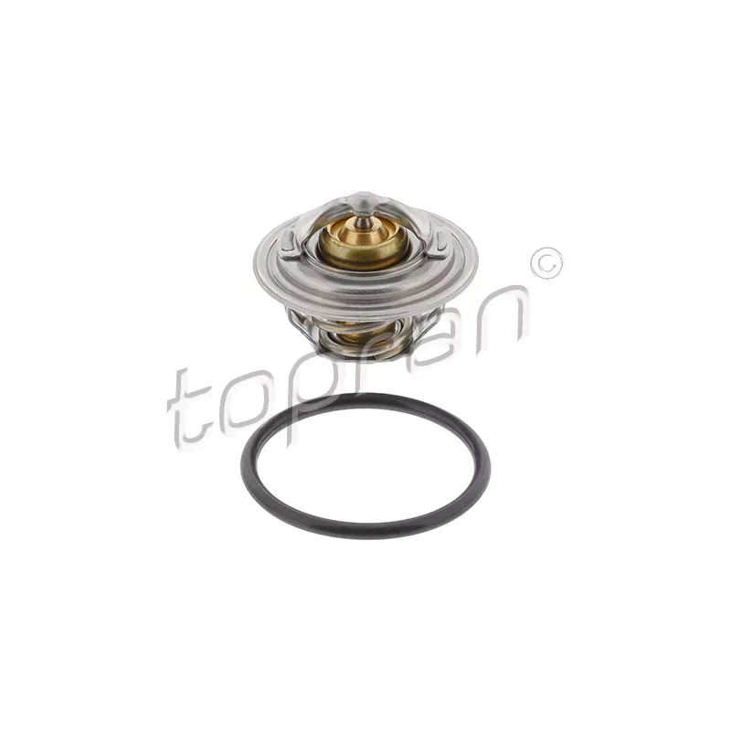 Thermostat d'eau TOPRAN 110 356
