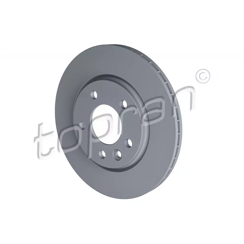 Jeu de 2 disques de frein arrière TOPRAN 110 416