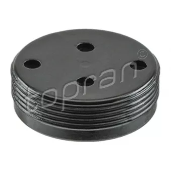 Bouchon de dilatation TOPRAN 110 878