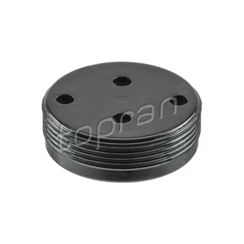 Bouchon de dilatation TOPRAN 110 878