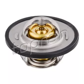Thermostat d'eau TOPRAN 111 149