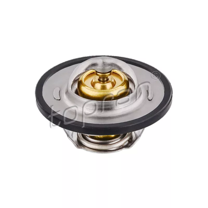 Thermostat d'eau TOPRAN 111 149