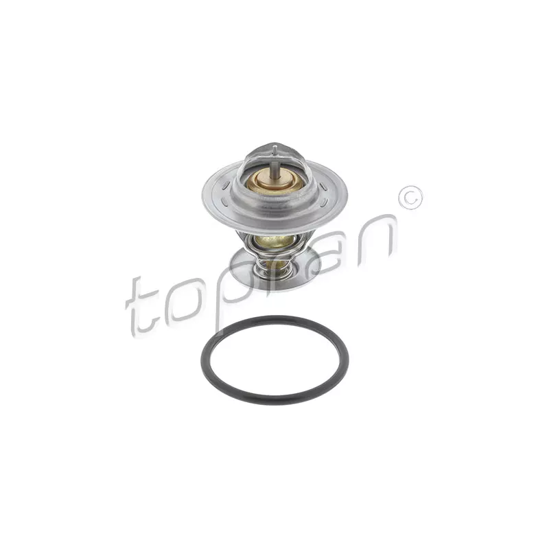 Thermostat d'eau TOPRAN 111 166