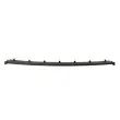 Baguette et bande protectrice, pare-chocs BLIC 5513-00-00659707P - Visuel 1