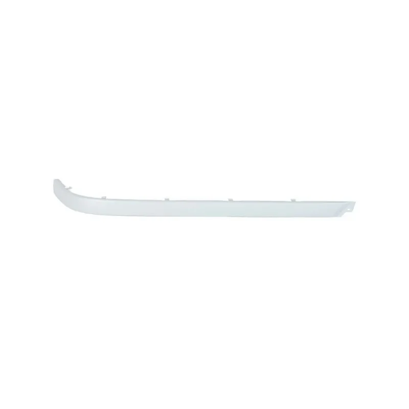 Baguette et bande protectrice, pare-chocs arrière droit BLIC 5513-00-00659712P