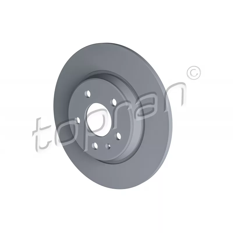 Jeu de 2 disques de frein arrière TOPRAN 113 011